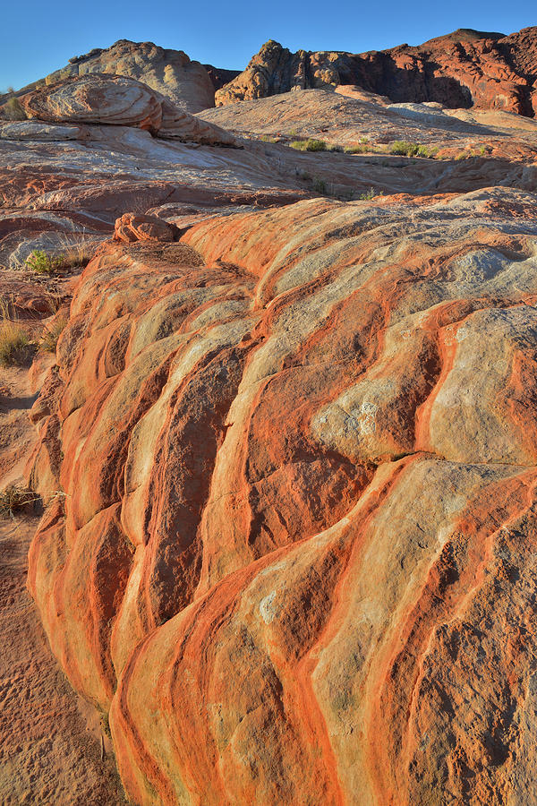 Stripes of Color in Valley of Fire at Sunrise Photograph by Ray Mathis