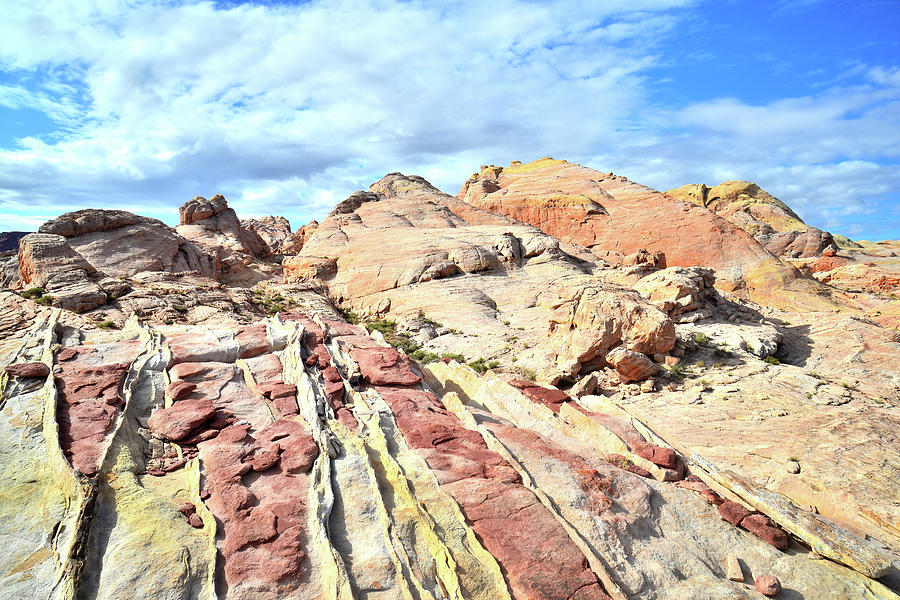 Stripes of Valley of Fire Photograph by Ray Mathis