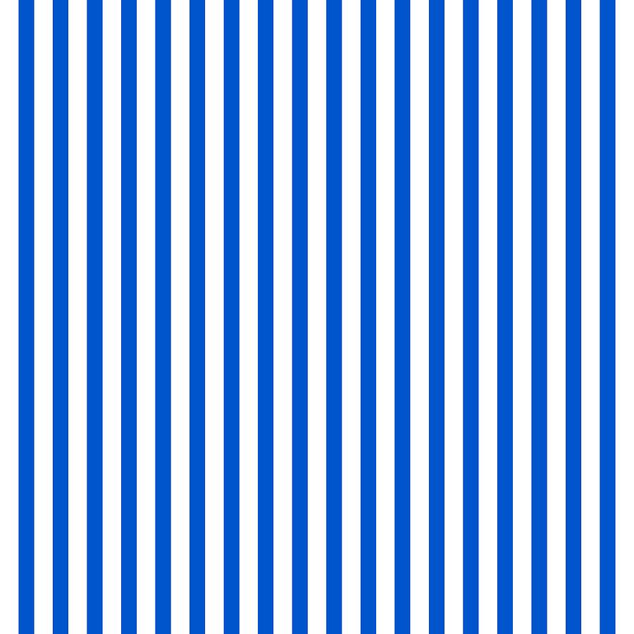 Vertical White Outside Stripes 18-p0125 Digital Art By Custom Home 