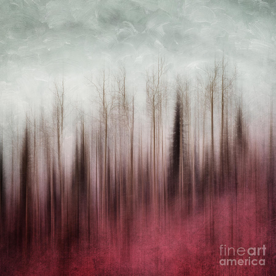 Tree Photograph - Stripped to the Soul by Priska Wettstein