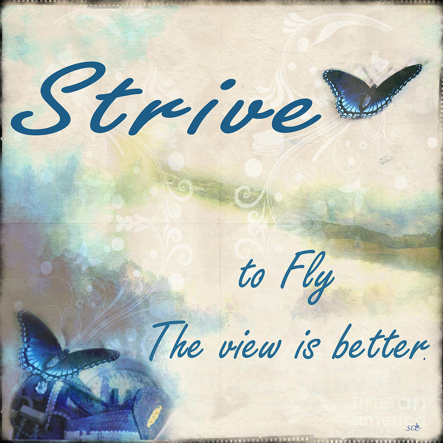 Strive to Fly Photograph by Sandra Clark
