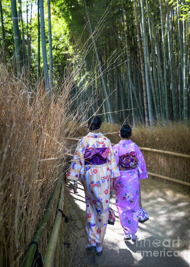 Stroll in the Arashiyama Bamboo Grove Photograph by Karen Jorstad
