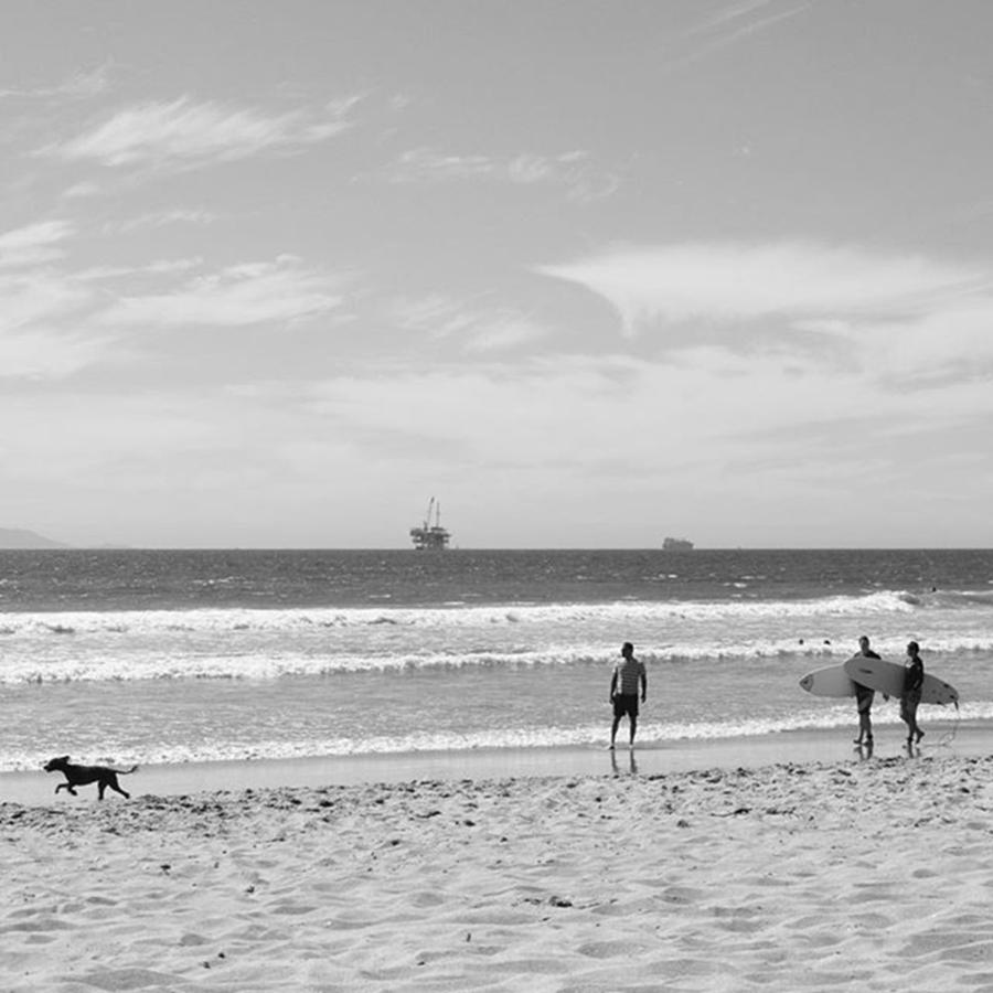 Summer Photograph - Strollin On Dog Beach #1 by Leah McPhail