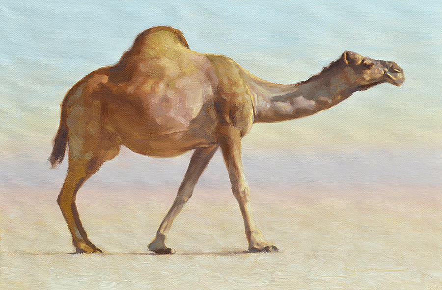 Camel Painting - Strolling by Ben Hubbard