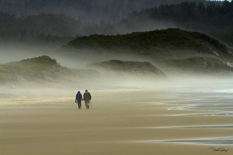 Strolling in the Mist Photograph by David Salter
