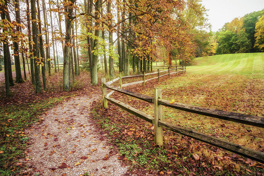 Strolling Through Autumn Photograph by Tom Mc Nemar
