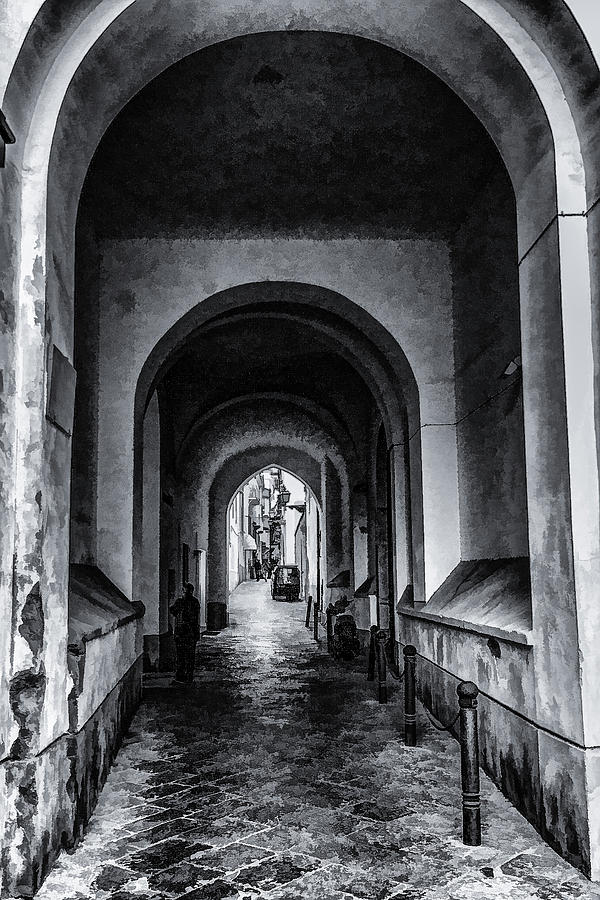 Black And White Digital Art - Strolling Through the Arches by Lisa Lemmons-Powers
