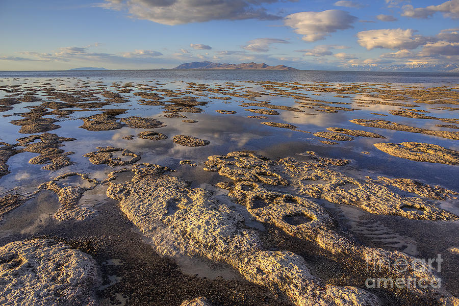 Stromatolites and Antelope Island Photograph by Spencer Baugh