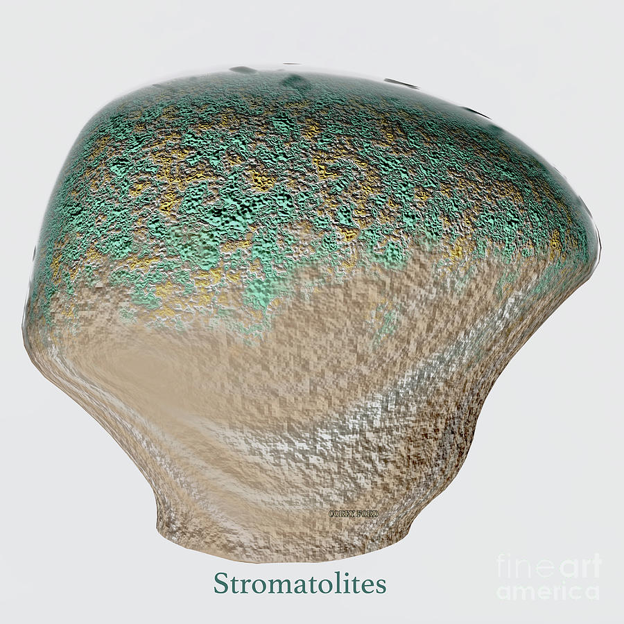 Nature Digital Art - Stromatolites with Font by Corey Ford