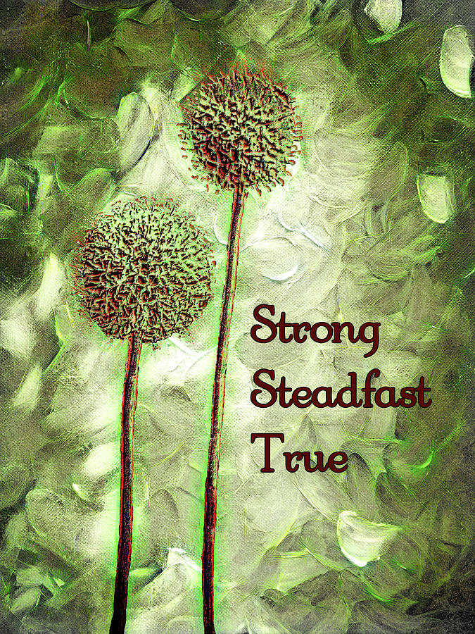 Strong Steadfast True Photograph by Leslie Montgomery