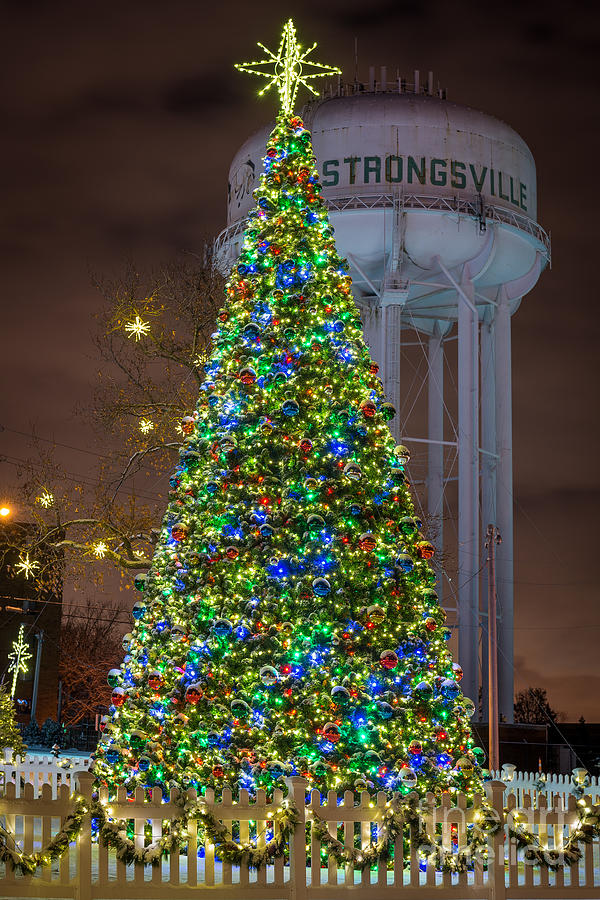 Strongsville Christmas Tree Photograph by Frank Cramer