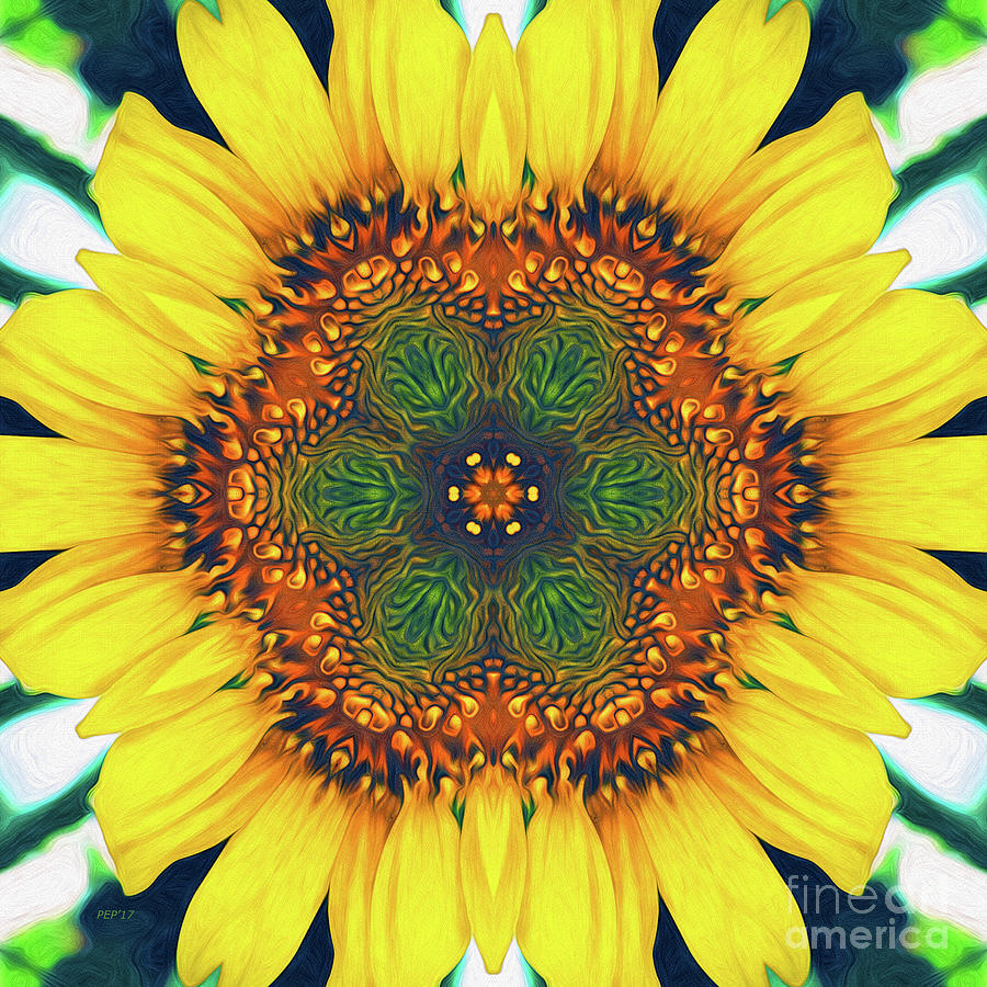 Structure of A Sunflower Digital Art by Phil Perkins