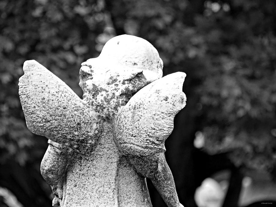 Stubby Little Wings BW Photograph by Dark Whimsy