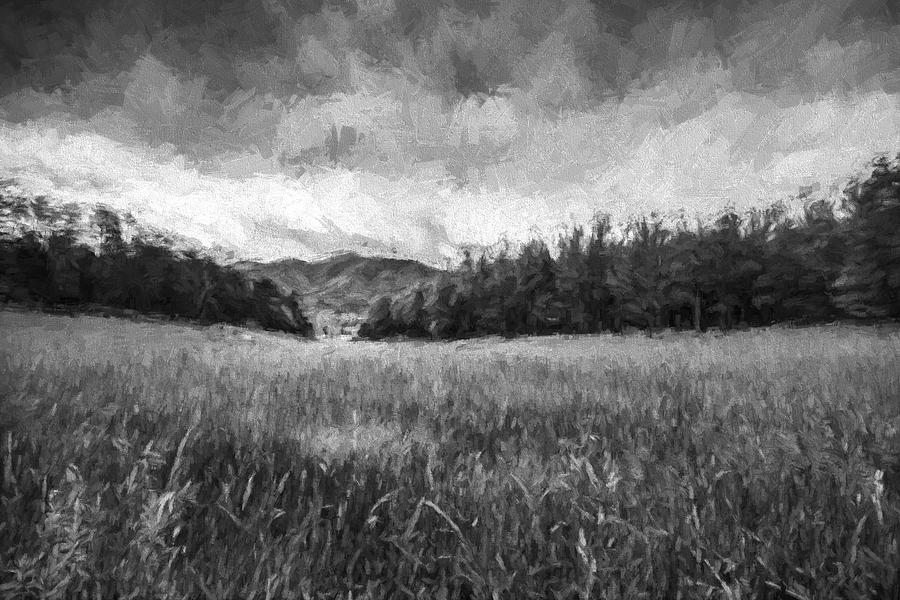 Black And White Digital Art - Stuck in the Field IV by Jon Glaser