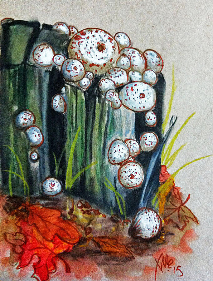 Studded Puffball Study Drawing by Alexandria Weaselwise Busen