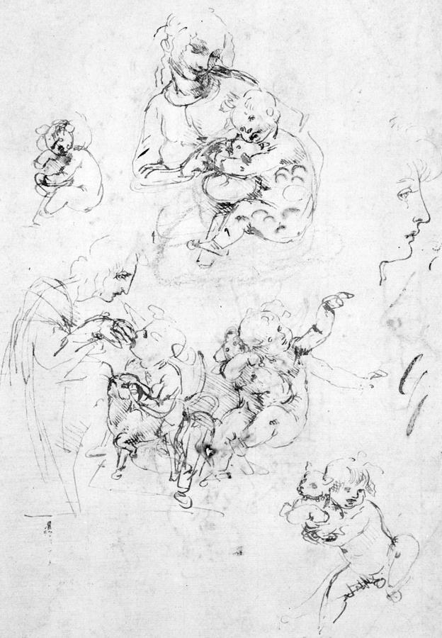 Studies for a Madonna with a cat Drawing by Leonardo da Vinci