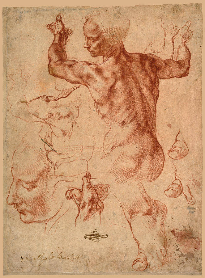 Studies for the Libyan Sibyl Drawing by Michelangelo di Lodovico Buonarroti Simoni