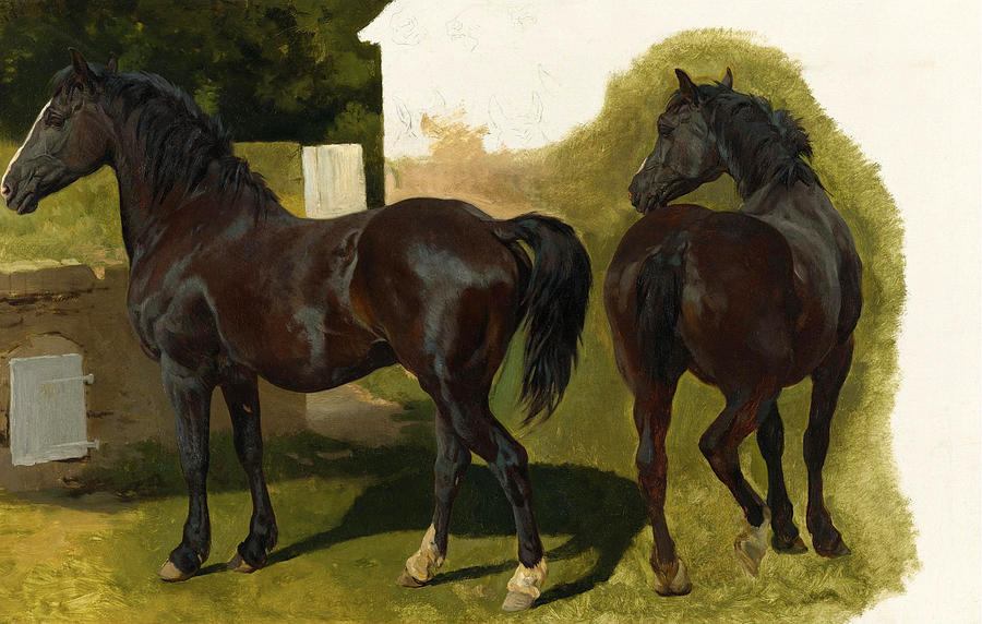 Horse Painting - Studies of a Welsh Cobb by Henry William Banks Davis