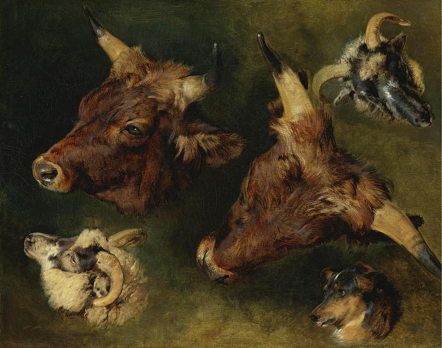 Studies of Cattle and Sheep Painting by Edwin Landseer