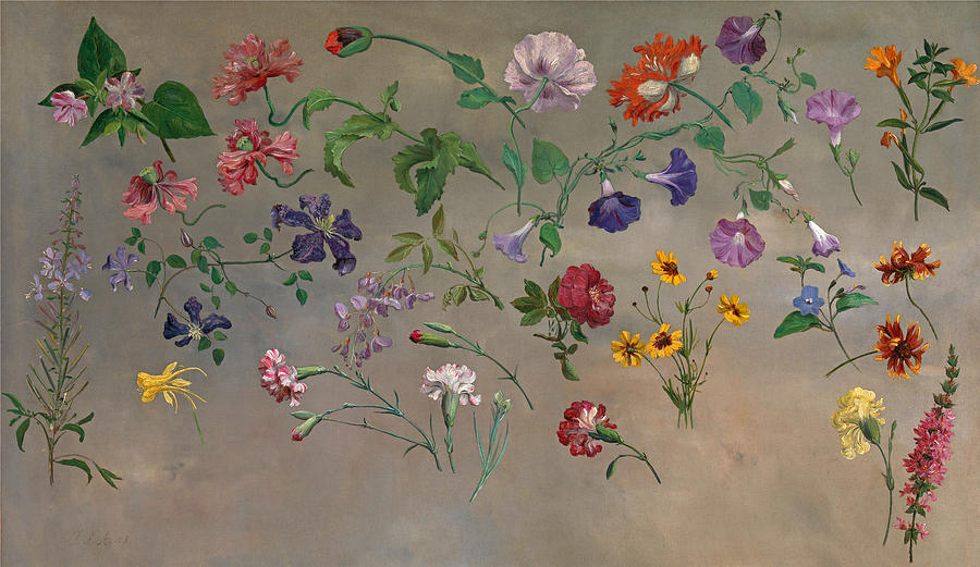 Jacques Laurent Agasse Painting - Studies of Flowers by Jacques-Laurent Agasse