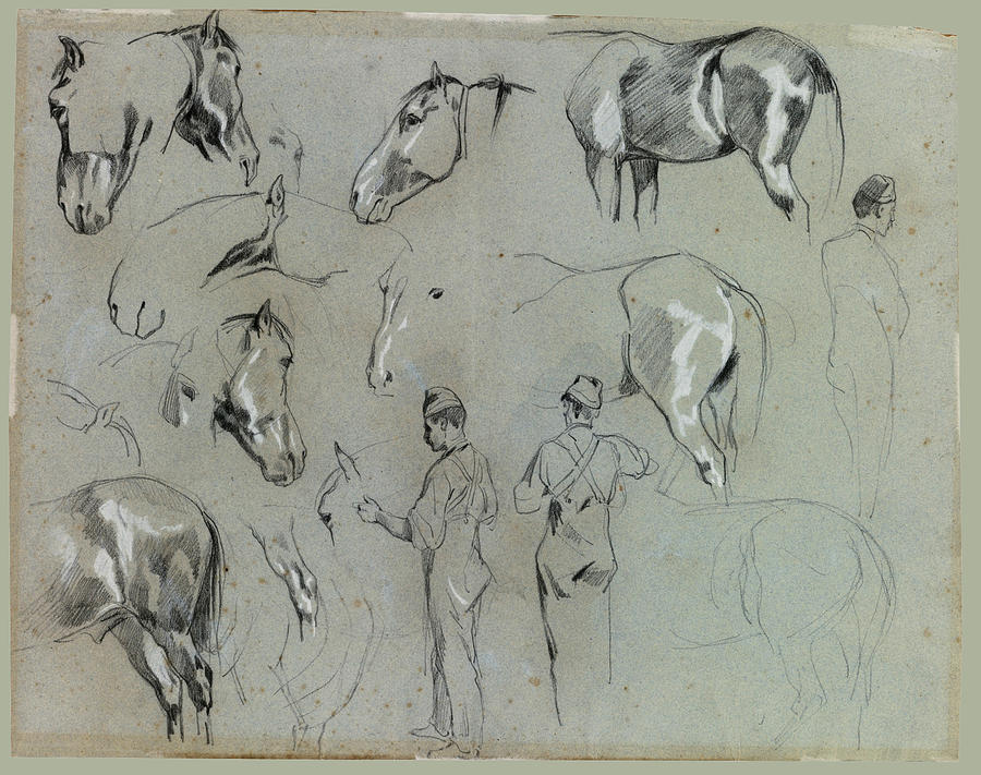 Studies of Horses and a Groom 2 Drawing by Francois Hippolyte Lalaisse
