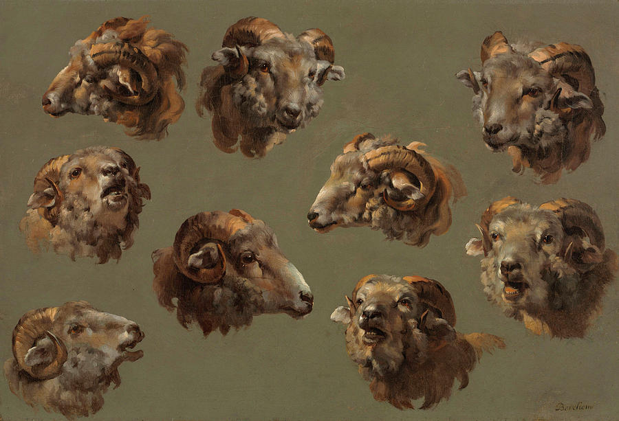 Sheep Painting - Studies of Ram Heads by 18th Century