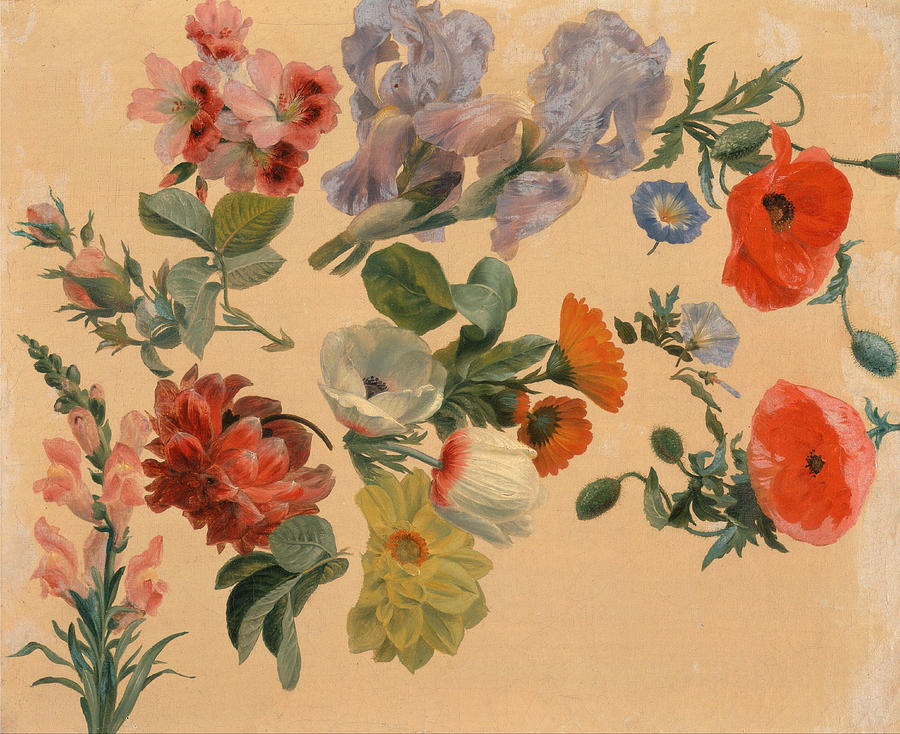 Studies of Summer Flowers  Painting by Jacques-Laurent Agasse