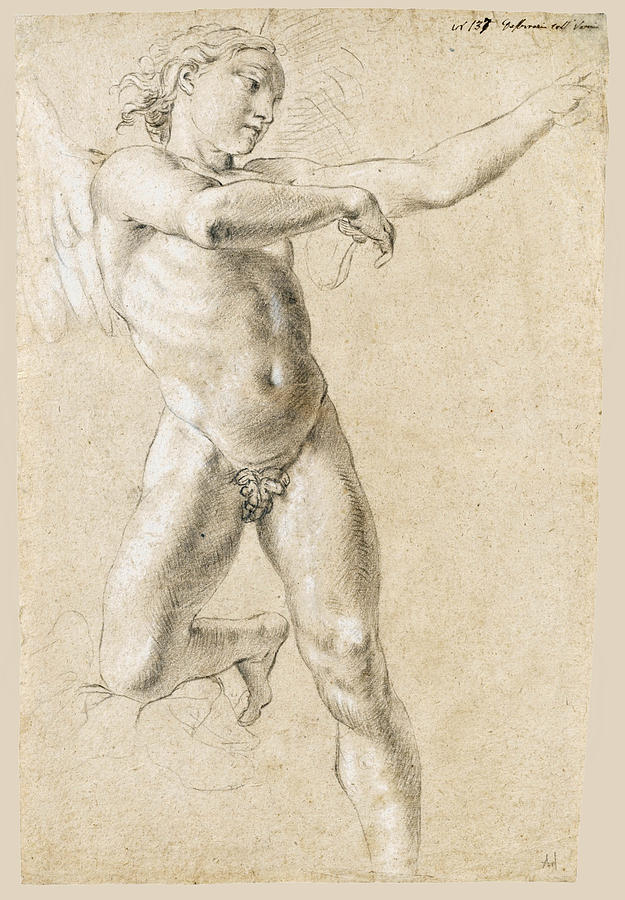 Study for a figure of Icarus Drawing by Lorenzo De Ferrari