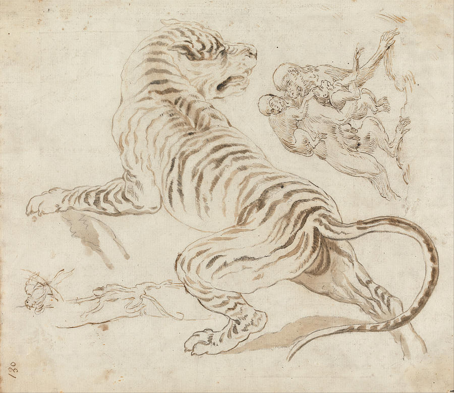 Study for a Tiger and Monkeys Drawing by James Northcote