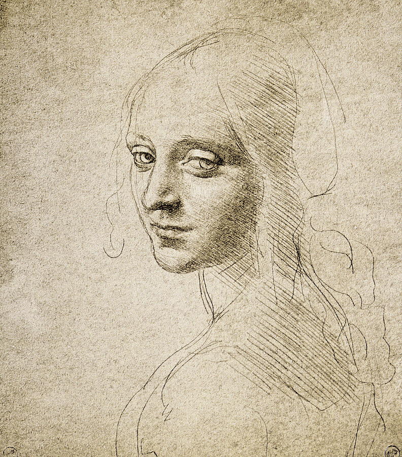 Female Head Leonardo Da Vinci