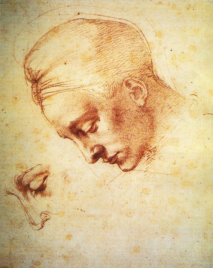 Study For The Head Of Leda Painting by Michelangelo
