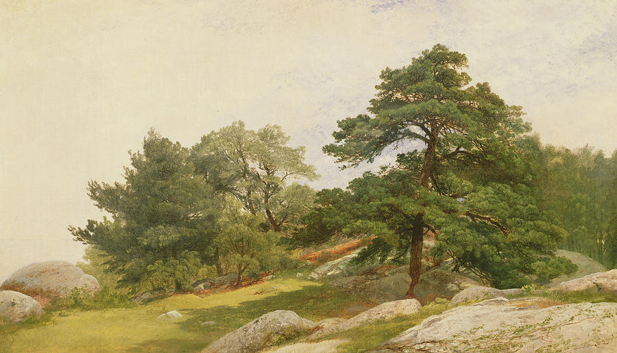 Study for Trees on Beverly Coast Painting by John Frederick Kensett
