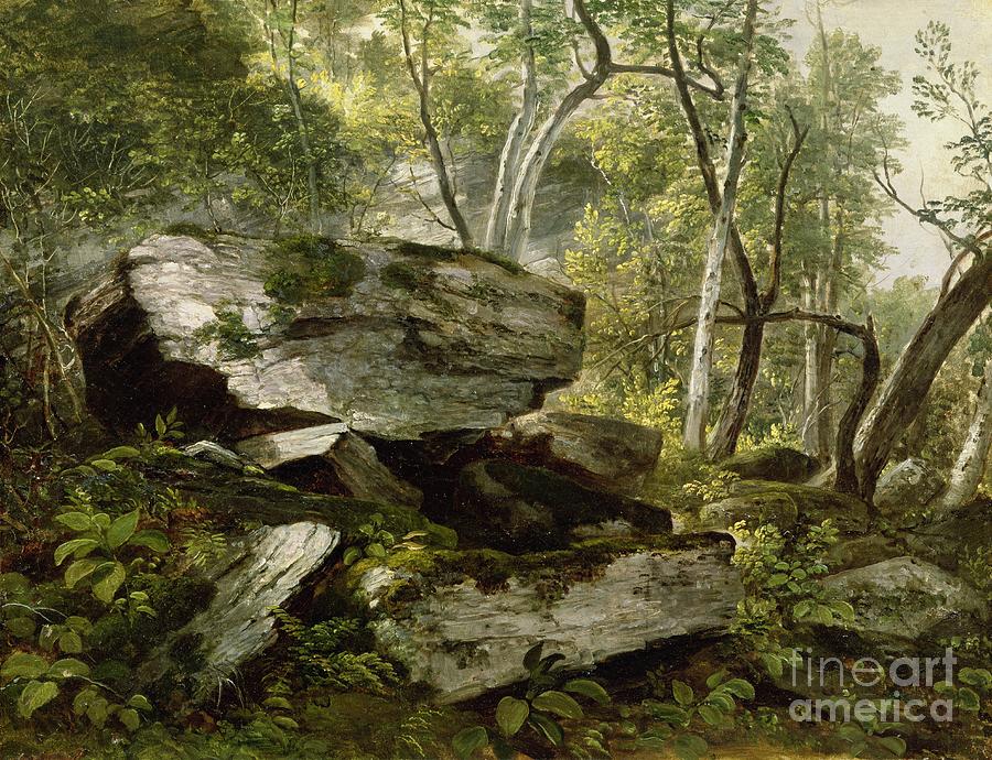Study from Nature   Rocks and Trees by Asher Brown Durand Painting by Asher Brown Durand