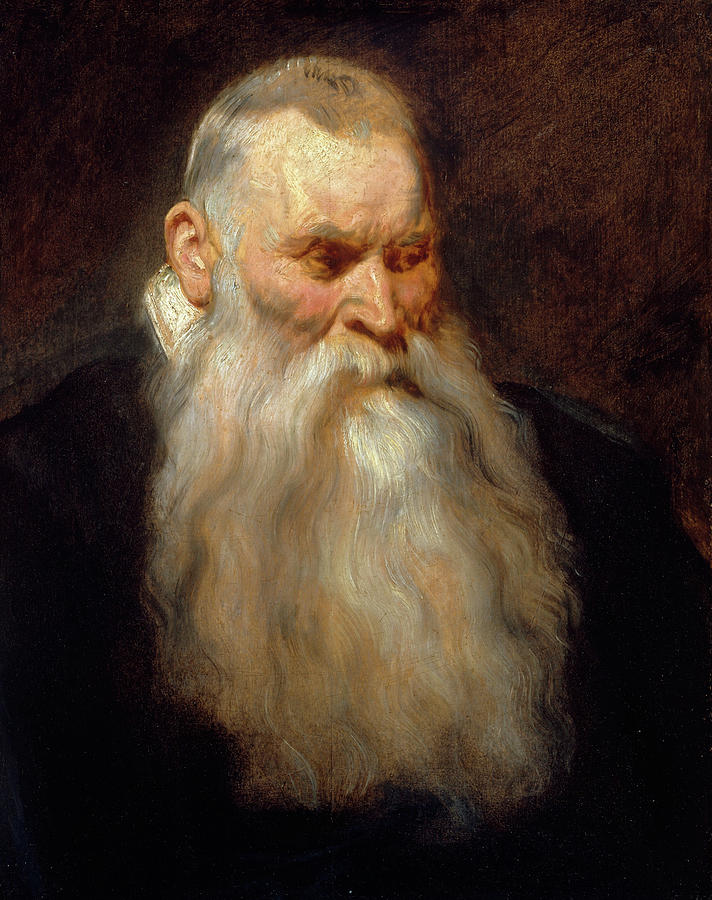 Anthony Van Dyck Painting - Study, Head of an Old Man with a White Beard by Anthony van Dyck