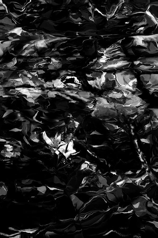 Study in Black and white 080815 Digital Art by David Lane