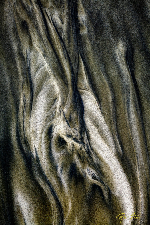 Study in Brown Abstract Sands Photograph by Rikk Flohr
