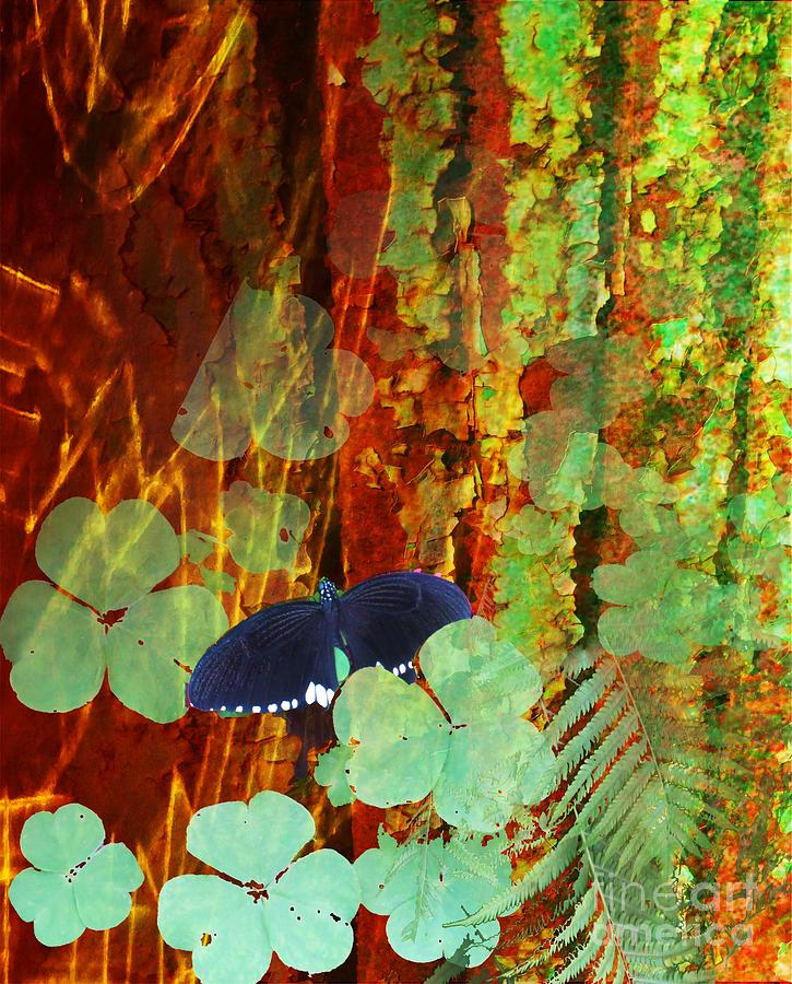 Butterfly Digital Art - Study in Green and Brown by Desiree Paquette