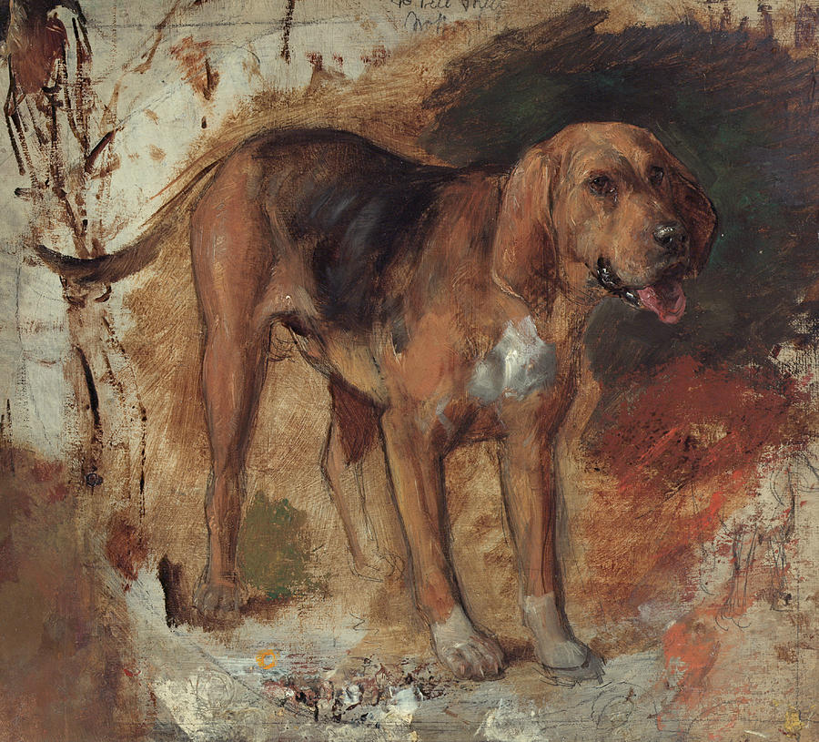 Study of a Bloodhound Painting by William Holman Hunt