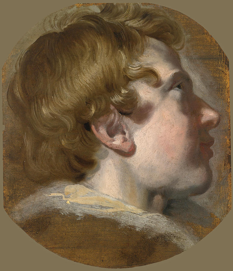 Study of a Boys Head Painting by Pieter van Mol