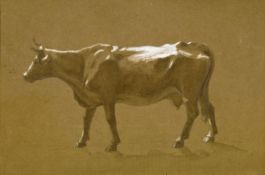 Study of a Bull Drawing by Jasper Francis Cropsey