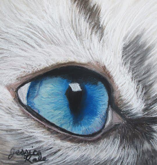 Study of a Cat's Eye Pastel by Jessica Kale - Fine Art America