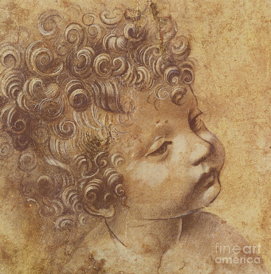 Study of a childs head Drawing by Leonardo Da Vinci