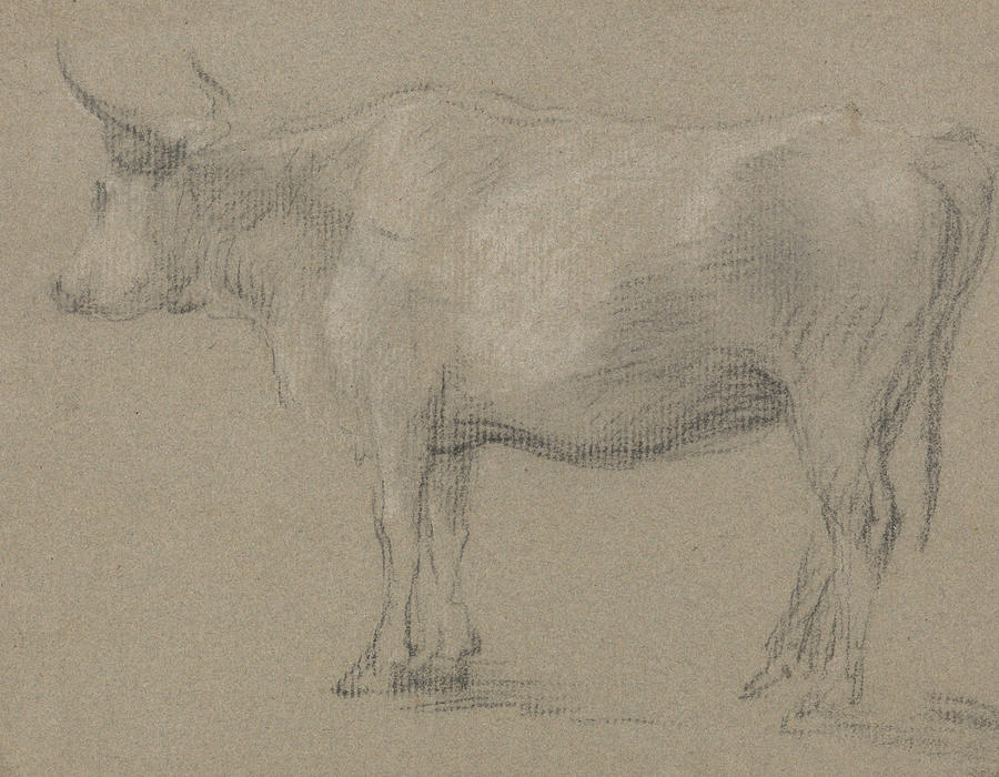 Study of a Cow Drawing by Thomas Gainsborough