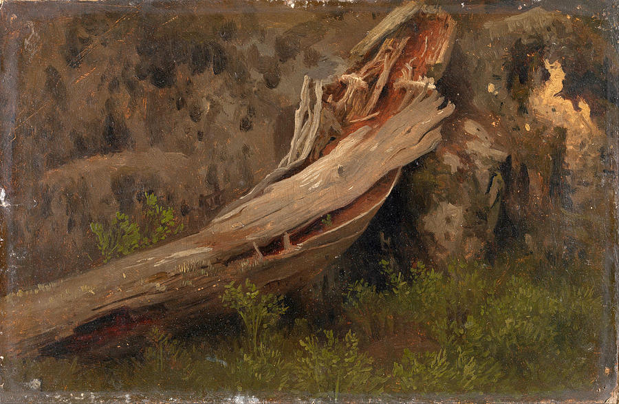 Study of a decaying Trunk Painting by August Cappelen