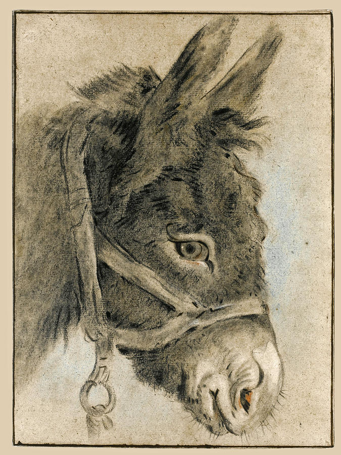 Study of a Donkeys Head Drawing by Attributed to Jean-Baptiste Huet