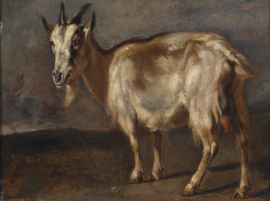 Study of a Goat Painting by Pieter Boel