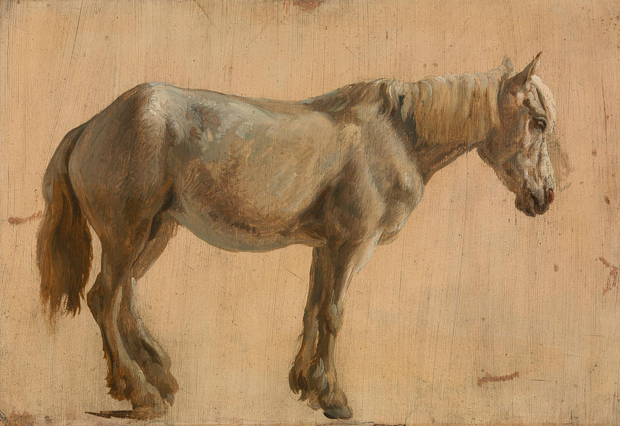 Study of a Grey Horse Painting by Jacques-Laurent Agasse