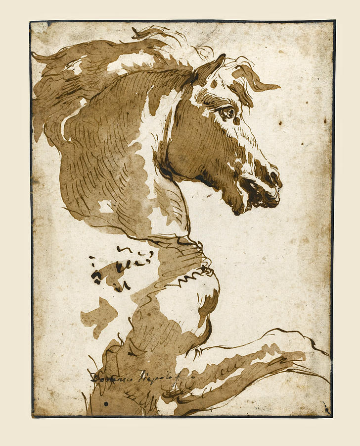 Study of a Horse in Profile Drawing by Giovanni Domenico Tiepolo