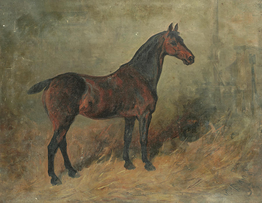 Study of a horse Painting by John Emms - Fine Art America