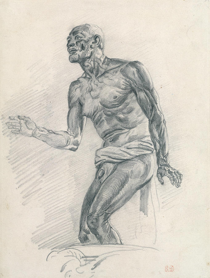 Study of a Male Nude Study for The Death of Seneca Drawing by Eugene Delacroix